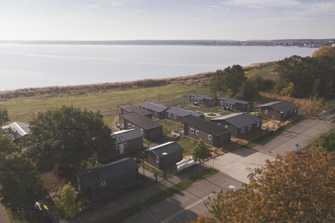 Lodgepark Goitzsche Gmbh Bitterfeld-Wolfen Eksteriør bilde